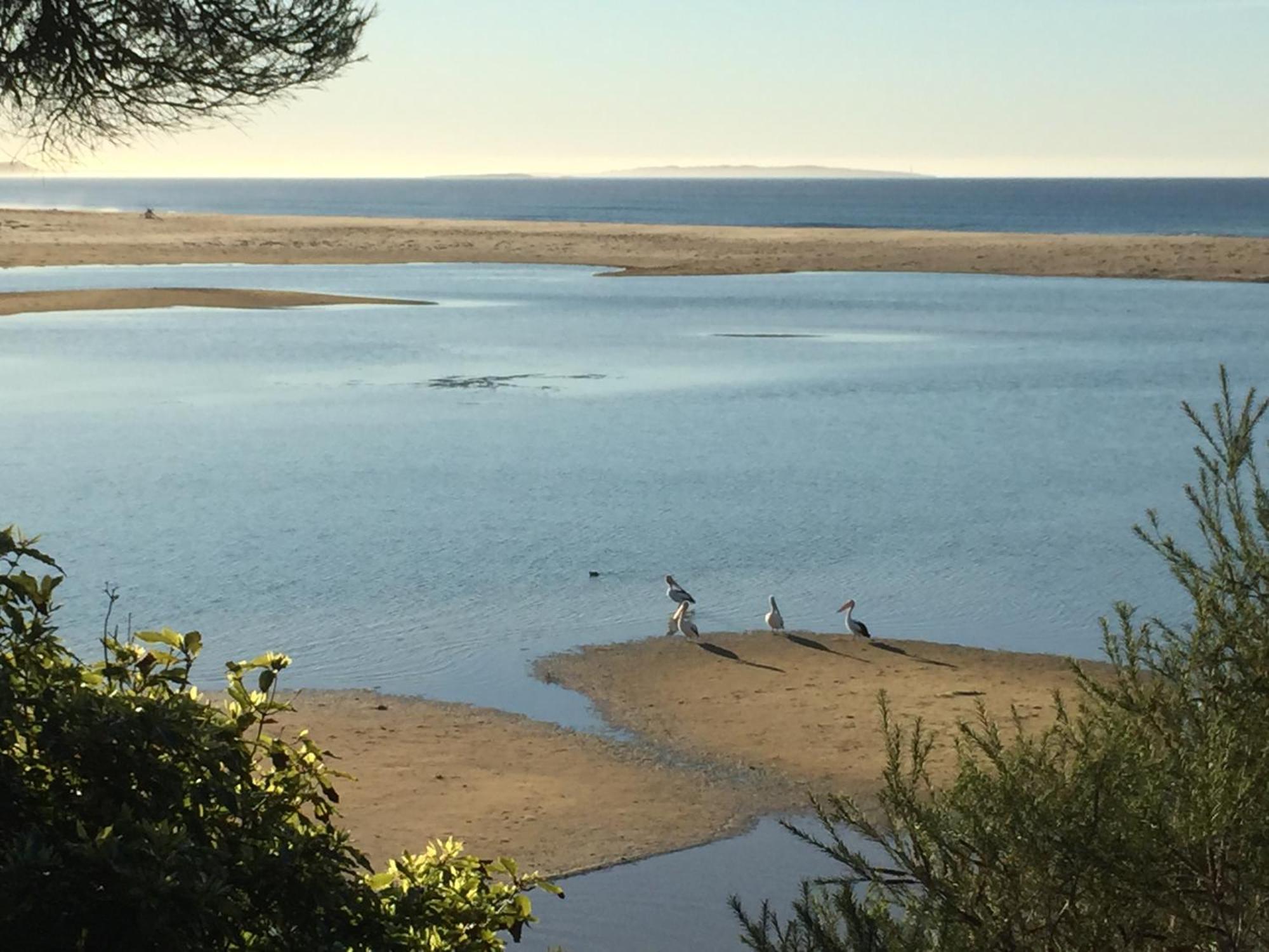 Beachcomber Caravan Park Mallacoota Ngoại thất bức ảnh